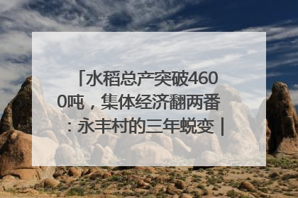 水稻总产突破4600吨，集体经济翻两番：永丰村的三年蜕变｜您牵挂的四川
